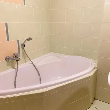 Apartman Sofia 아파트 Veľký Slavkov